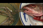 short film Fish
